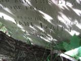 image of grave number 443926